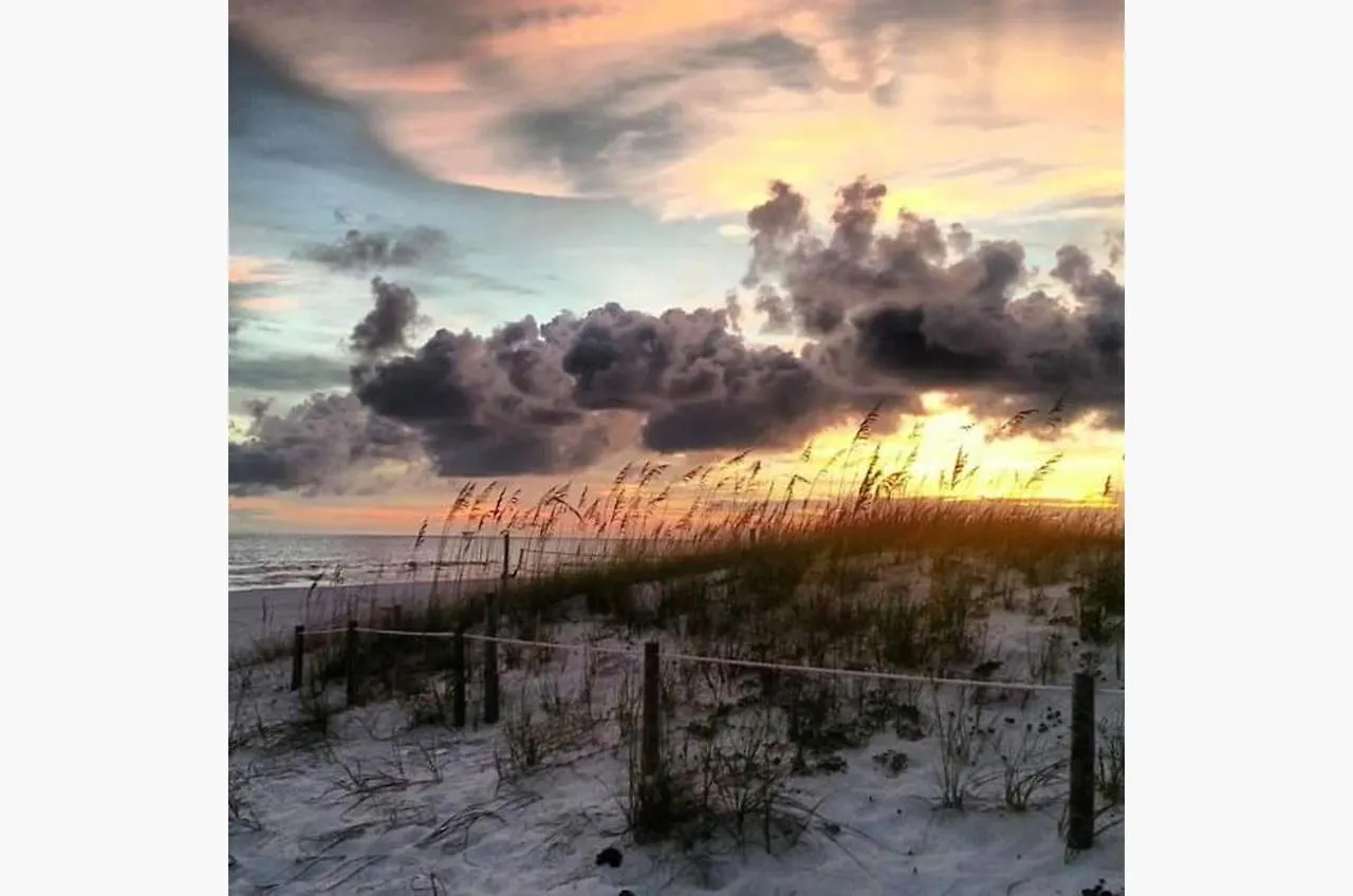 Holiday home Sunbird 0208E 'Dolphin Watch' Villa Panama City Beach